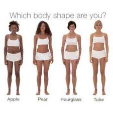 Different Body Shapes